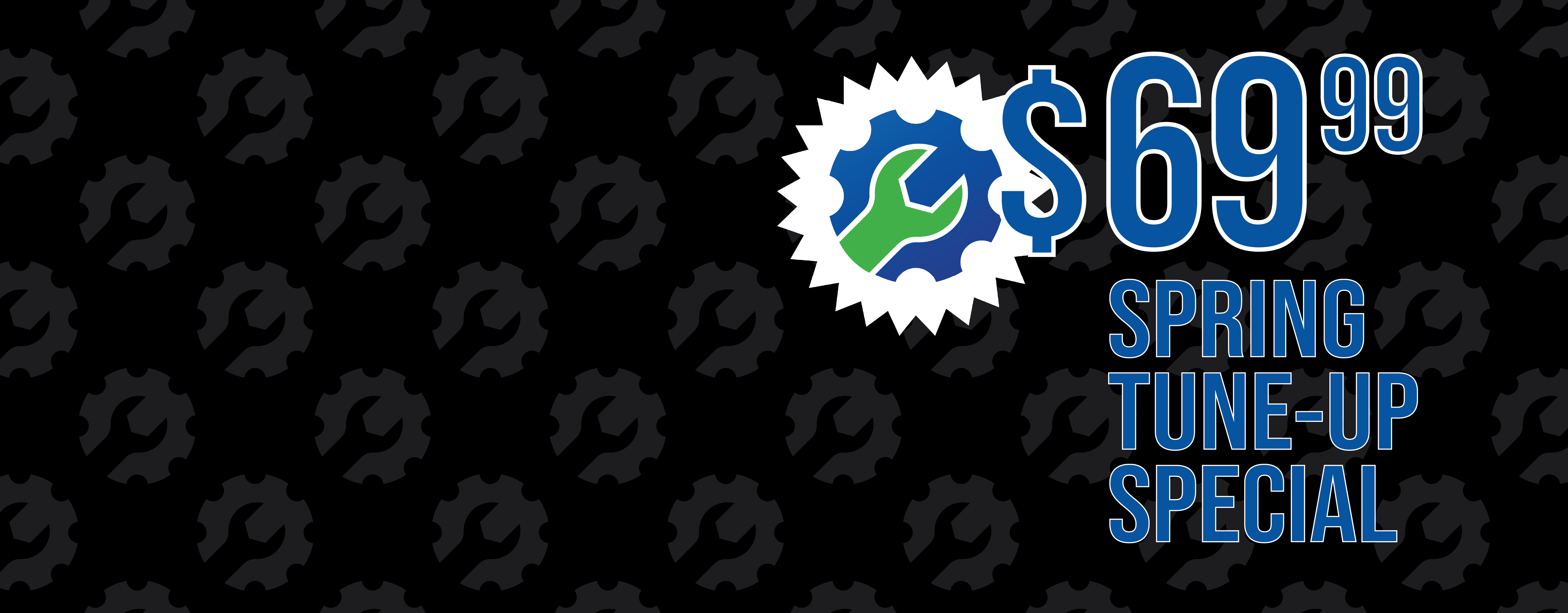 $69.99 Spring Tune Up Special